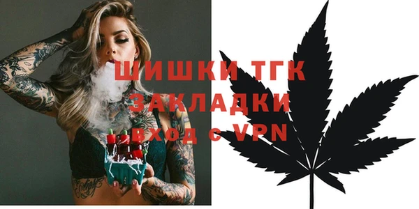 PSILOCYBIN Богданович