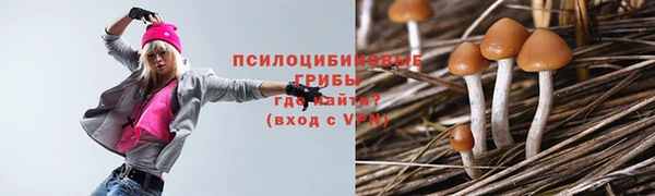 PSILOCYBIN Богданович