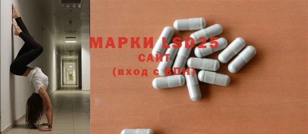 PSILOCYBIN Богданович