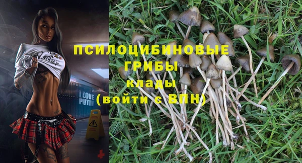 дурь Богородицк
