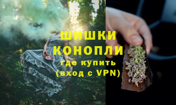 PSILOCYBIN Богданович