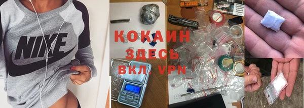 дурь Богородицк