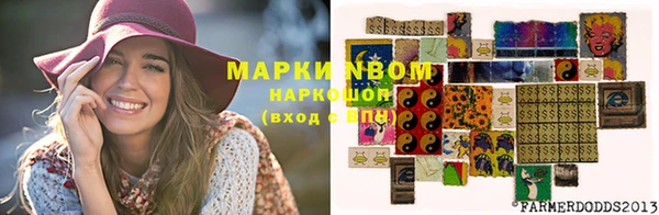 дурь Богородицк