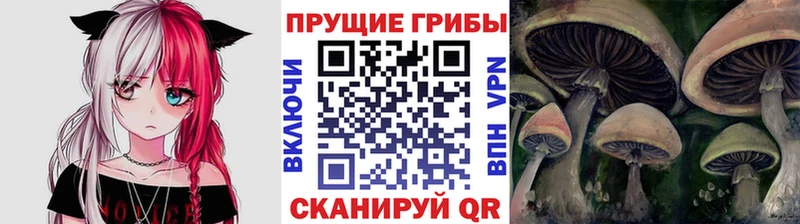 Галлюциногенные грибы мухоморы  Кочубеевское 